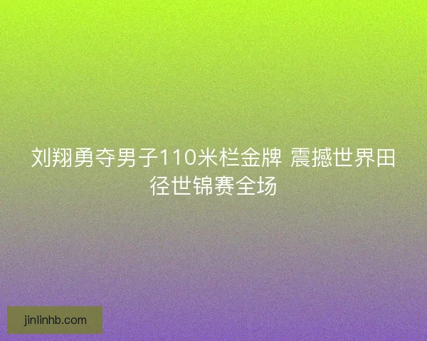 刘翔勇夺男子110米栏金牌 震撼世界田径世锦赛全场 刘翔勇夺男子110米栏金牌 震撼世界田径世锦赛全场